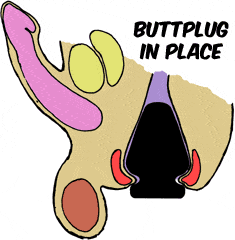 Buttplug Anal Capture-1.gif