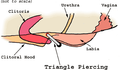 Triangle Piercing-5.gif