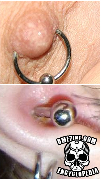 File:Piercingcrustieref.jpg