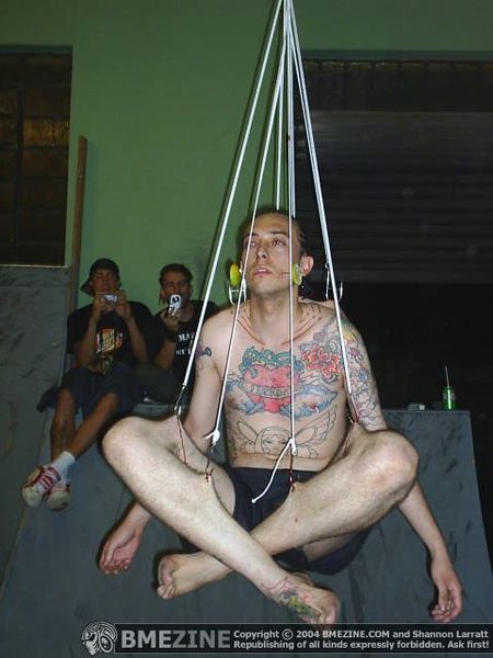 File:Lotus Suspension.jpg