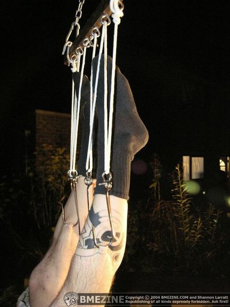 File:Calfsuspension2.jpg